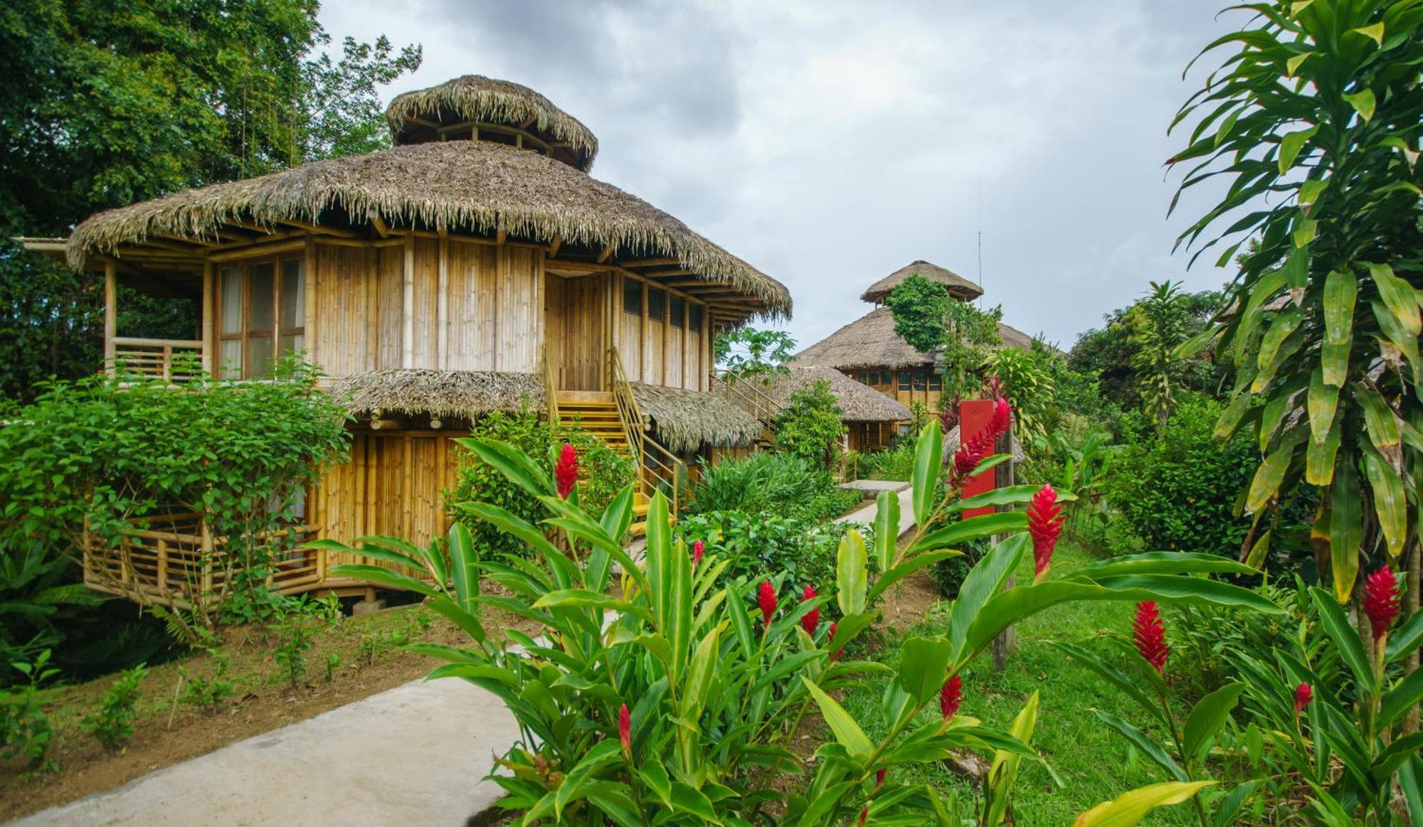 La Selva Eco-Lodge & Retreat Providencia Bagian luar foto