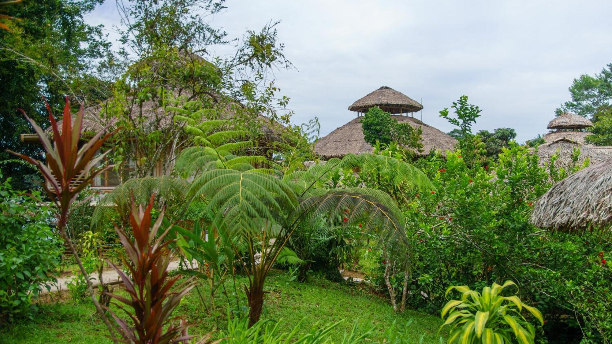 La Selva Eco-Lodge & Retreat Providencia Bagian luar foto