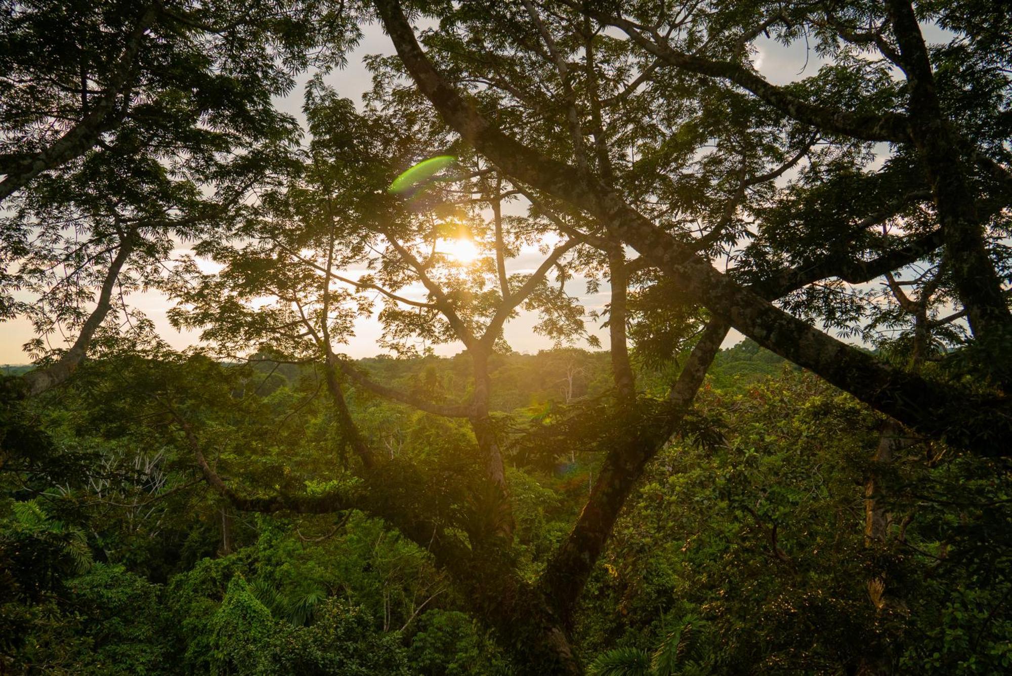La Selva Eco-Lodge & Retreat Providencia Bagian luar foto