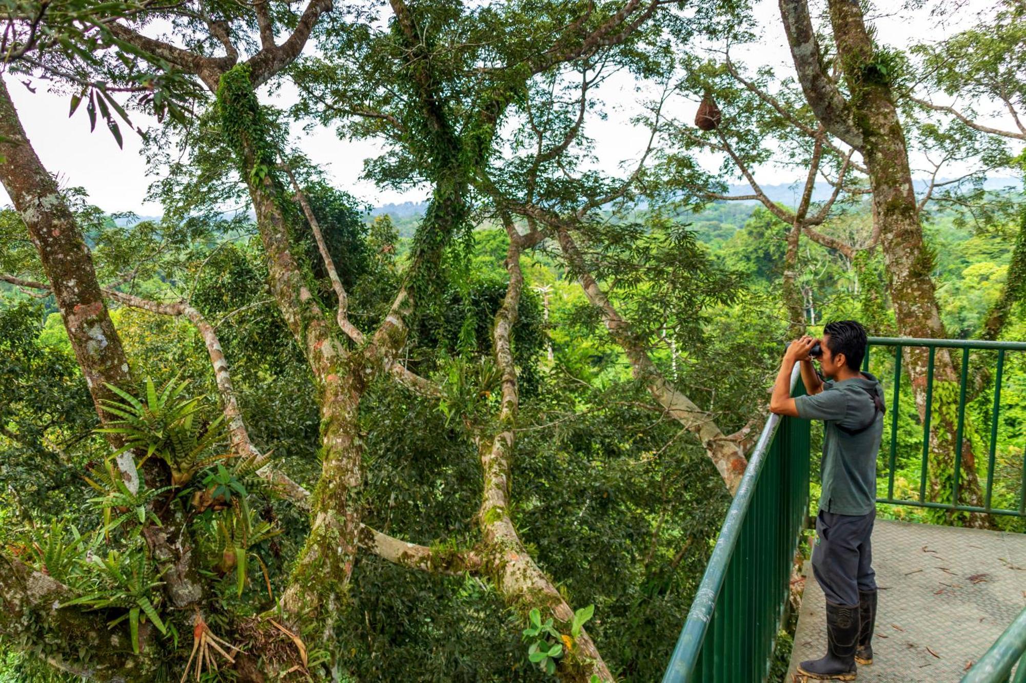 La Selva Eco-Lodge & Retreat Providencia Bagian luar foto