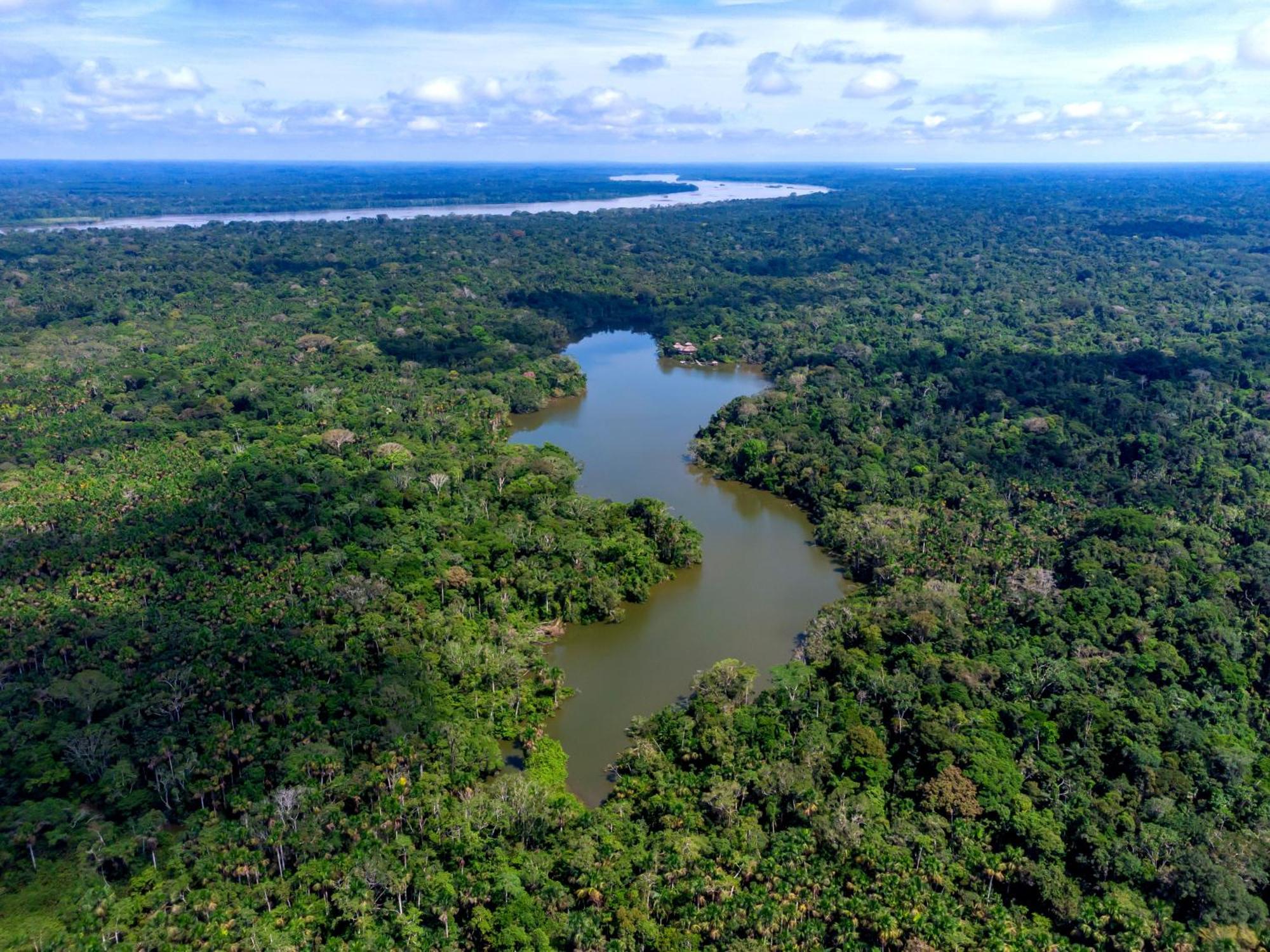 La Selva Eco-Lodge & Retreat Providencia Bagian luar foto